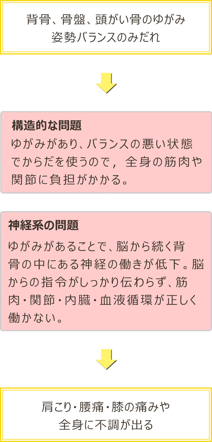 背骨 骨盤のゆがみが起こす問題 うしお接骨院