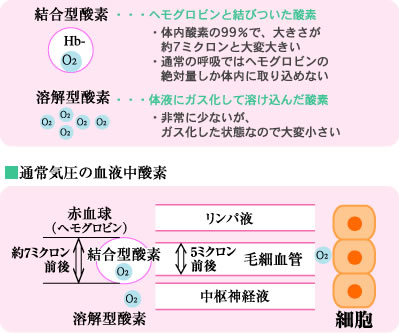 酸素カプセルの特徴 ヤマモト整骨院